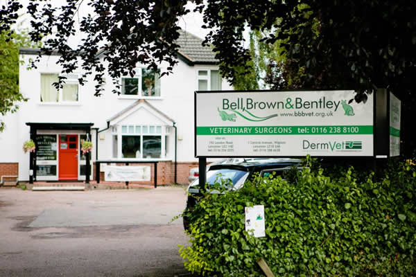 Bell Brown and Bentley Leicester Skin Vet