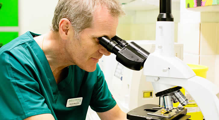 David Bentley at microscope